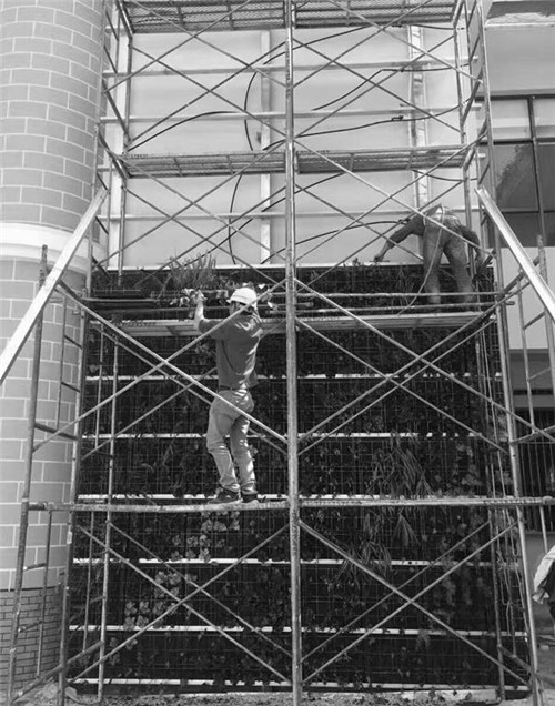 根植快樂認知和體驗的環境設計:幼兒園改造