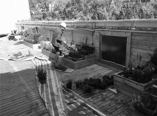 根植快樂認知和體驗的環境設計:幼兒園改造