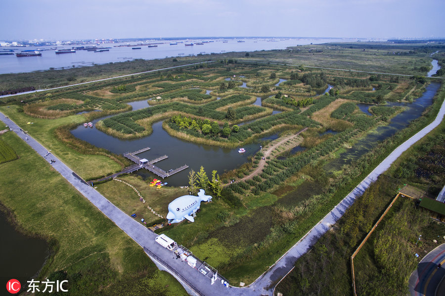 江蘇鎮(zhèn)江巨型“濕地迷宮”讓游客留連忘返