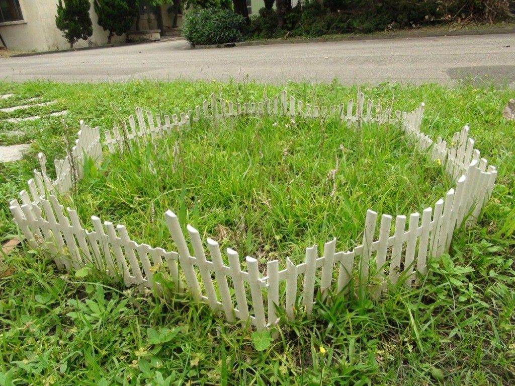 看到這個雜草千萬不要砍,是瀕危野生植物