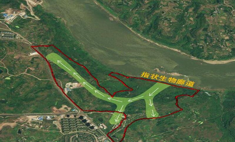 專業獎:金海灣公園峽江風貌展示區規劃設計