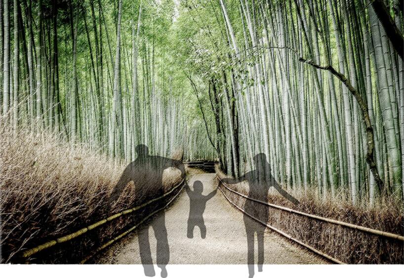 專業獎:金海灣公園峽江風貌展示區規劃設計