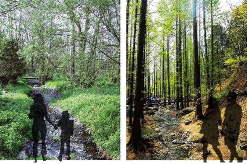 專業獎:金海灣公園峽江風貌展示區規劃設計