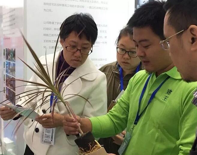 建王集團亮相中國住博會、中國城博會雙展！