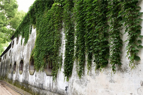 江南古鎮中唯一被列入世界文化遺產的園林