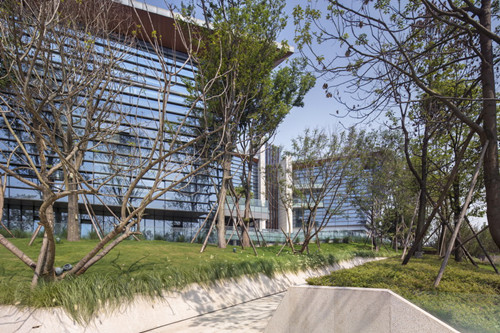 園冶杯專業獎:麓湖生態城辦公區湖岸景觀改造