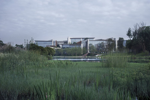 園冶杯專業獎:麓湖生態城辦公區湖岸景觀改造