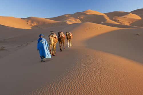 挪威科學(xué)家欲借助海水太陽能綠化撒哈拉沙漠