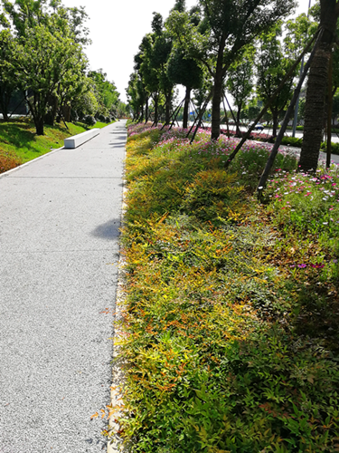 園冶杯專業獎:梅溪湖路西延線道路景觀設計