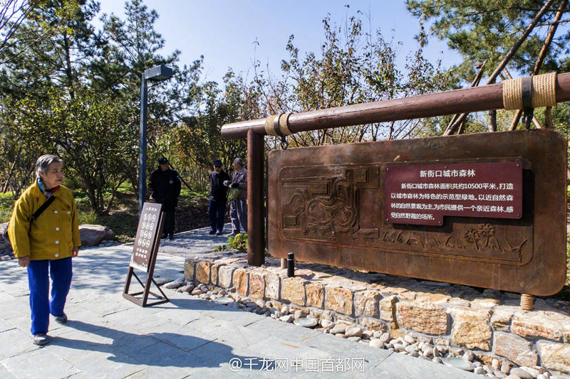 北京新街口再添城市森林公園 恢復(fù)宜居環(huán)境