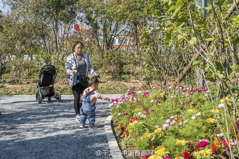 北京新街口再添城市森林公園 恢復(fù)宜居環(huán)境