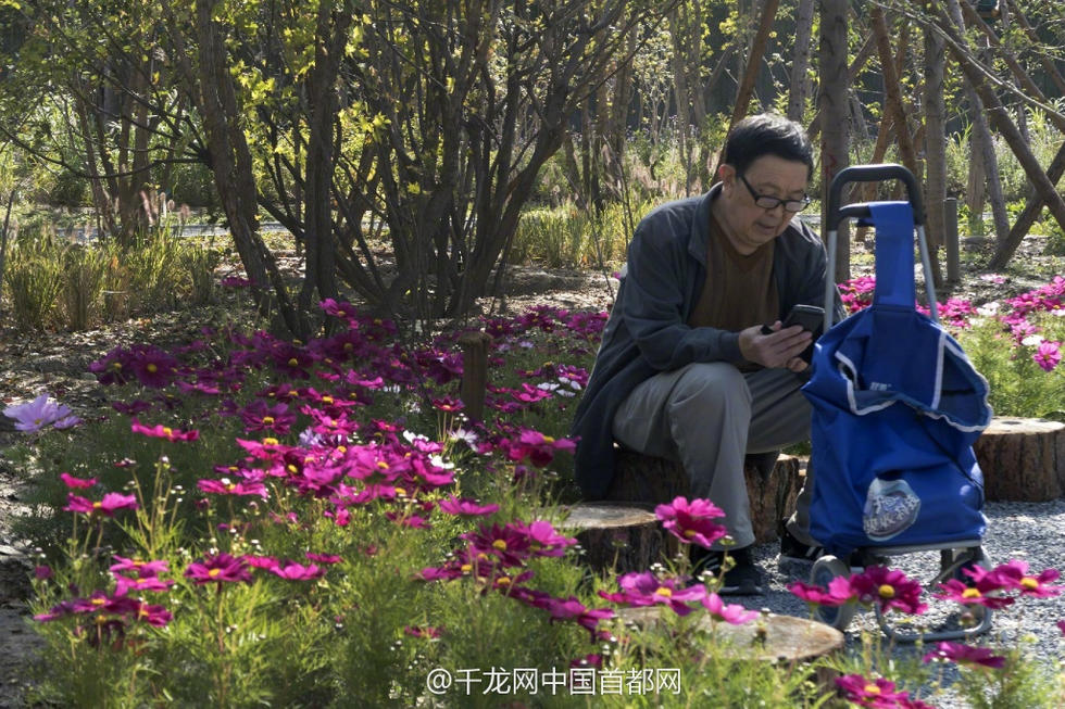 北京新街口再添城市森林公園 恢復(fù)宜居環(huán)境