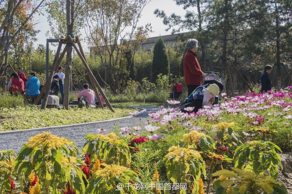 北京新街口再添城市森林公園 恢復(fù)宜居環(huán)境