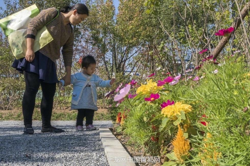 北京新街口再添城市森林公園 恢復(fù)宜居環(huán)境