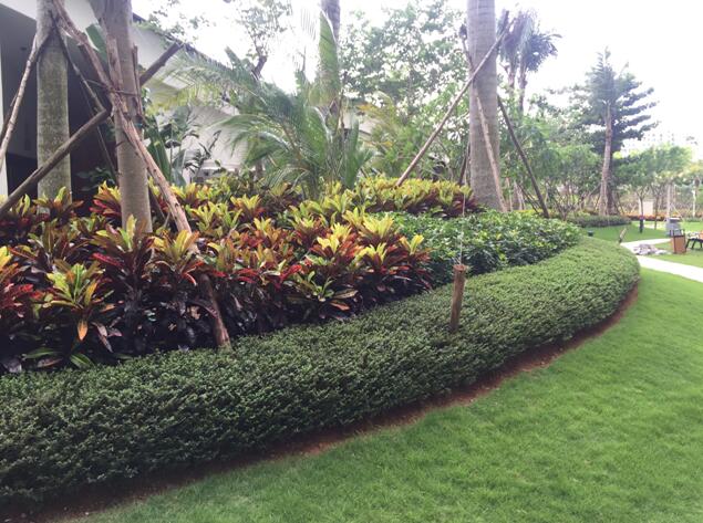 專業獎:海南省瓊海市和順小區一期改造工程