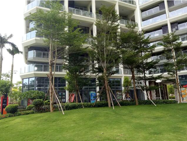 專業獎:海南省瓊海市和順小區一期改造工程