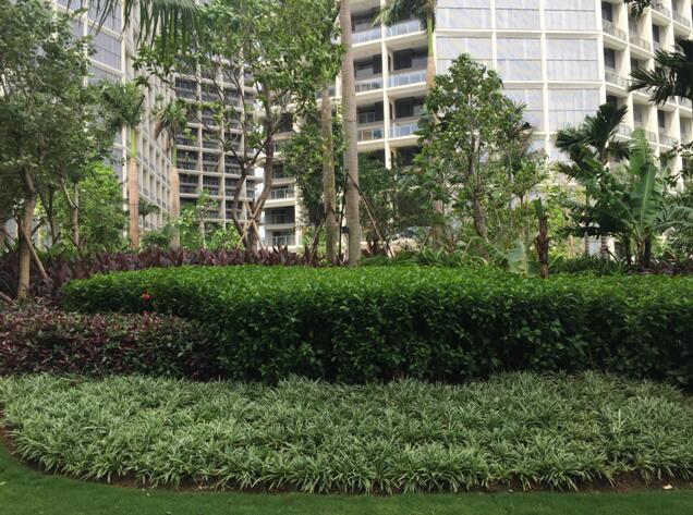 專業獎:海南省瓊海市和順小區一期改造工程