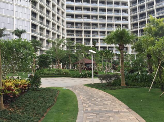 專業獎:海南省瓊海市和順小區一期改造工程