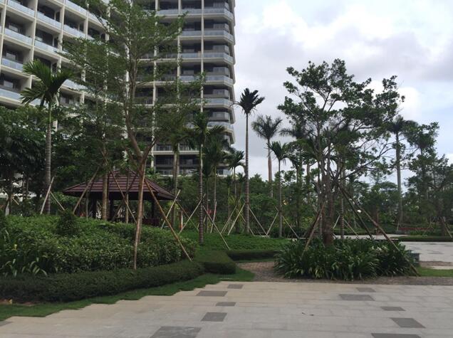 專業獎:海南省瓊海市和順小區一期改造工程