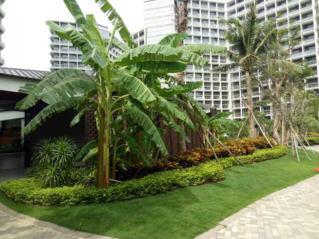 專業獎:海南省瓊海市和順小區一期改造工程