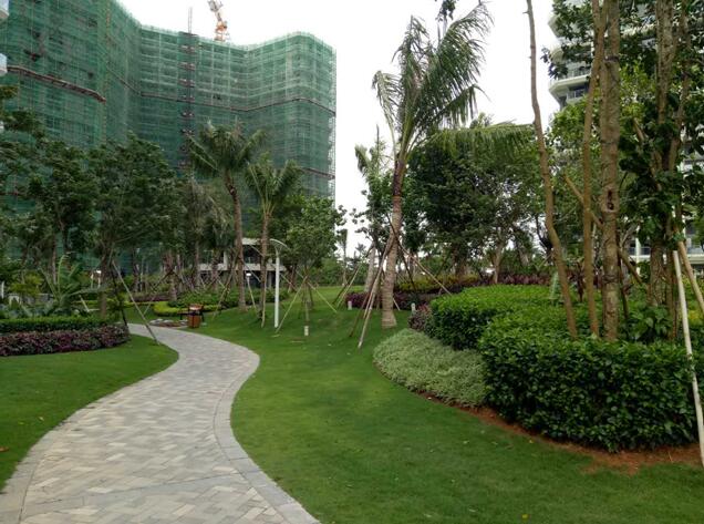 專業獎:海南省瓊海市和順小區一期改造工程