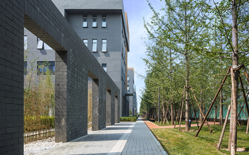 園冶杯專業獎:中關村醫療器械產業園景觀設計