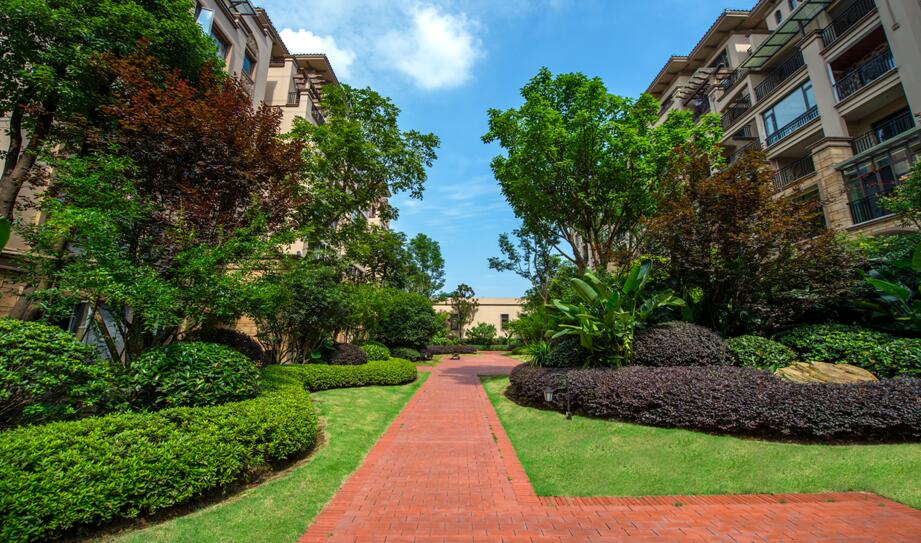 2017園冶杯專業獎:金科?中央公園城
