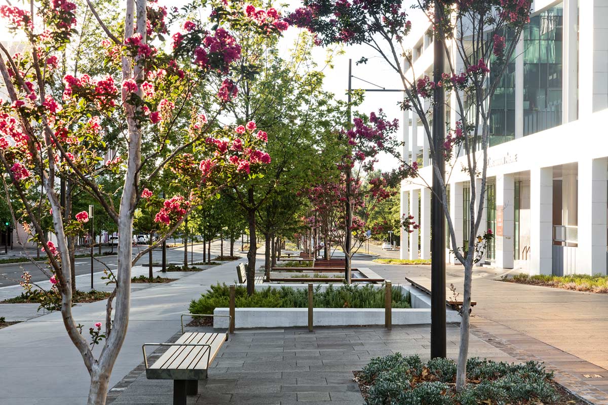 簡?歐文建筑事務所給憲法大道帶來新生命