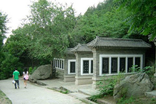 102歲十九大代表:建植物園和綠色文化碑林