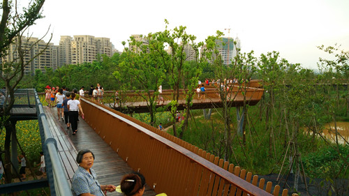 園冶杯專業獎:鹿鳴公園景觀工程