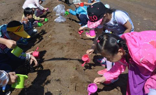 園冶杯專業獎:北京漢風耕讀苑景觀設計