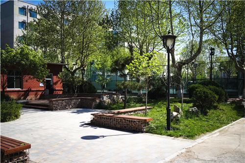 園冶杯專業獎:山東省郵電學校環境改造工程