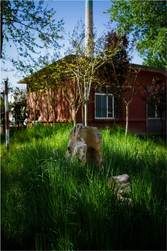 園冶杯專業獎:山東省郵電學校環境改造工程