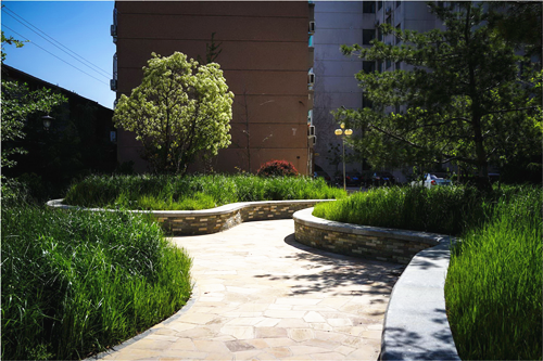 園冶杯專業獎:山東省郵電學校環境改造工程