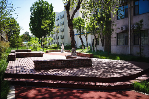 園冶杯專業獎:山東省郵電學校環境改造工程