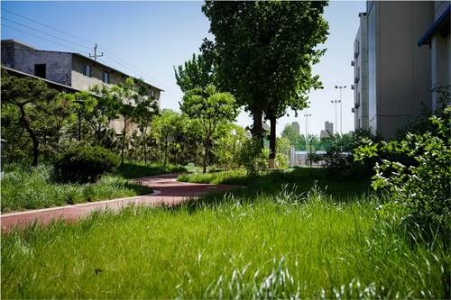 園冶杯專業獎:山東省郵電學校環境改造工程