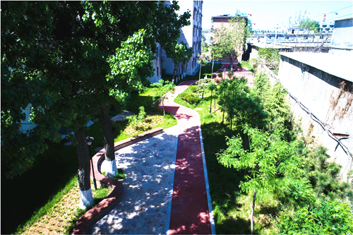 園冶杯專業獎:山東省郵電學校環境改造工程