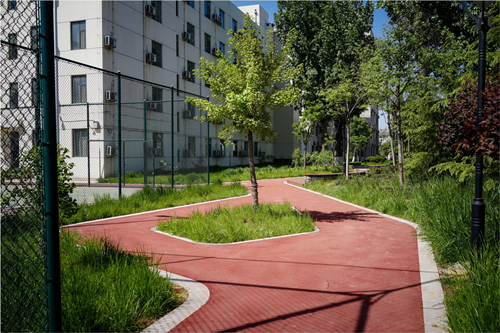 園冶杯專業獎:山東省郵電學校環境改造工程