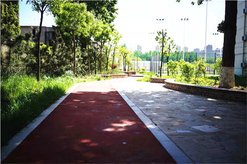 園冶杯專業獎:山東省郵電學校環境改造工程