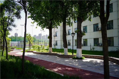 園冶杯專業獎:山東省郵電學校環境改造工程