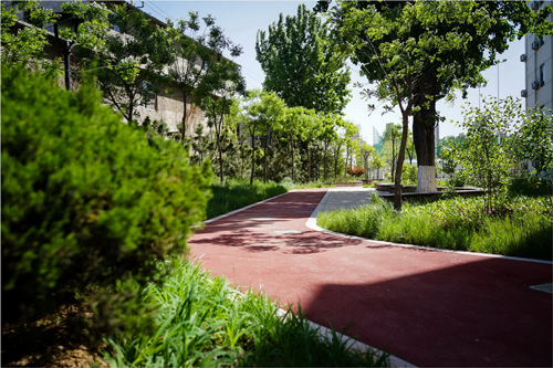 園冶杯專業獎:山東省郵電學校環境改造工程