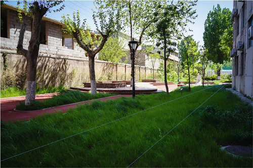 園冶杯專業獎:山東省郵電學校環境改造工程