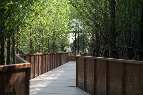 園冶杯專業獎:蘇州紫竹云山墅景觀設計