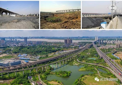 武漢園林院設計項目擬獲中國人居環境范例獎