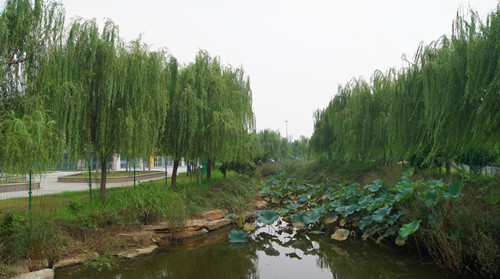 園冶杯專業獎：臨沂開發區青少年實訓基地