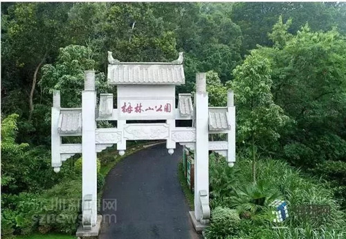 古樹寺廟和綠道,走進梅林人的后花園