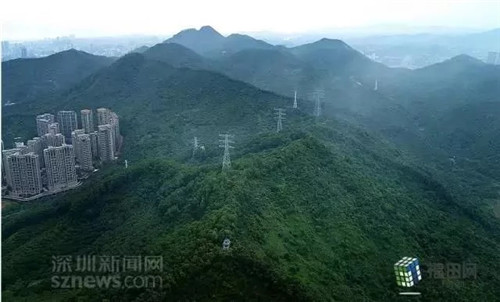 古樹寺廟和綠道,走進梅林人的后花園