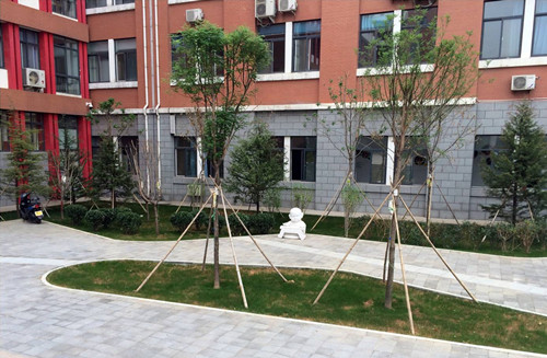 園冶杯專(zhuān)業(yè)獎(jiǎng)：山東藝術(shù)學(xué)校海綿城市改造設(shè)計(jì)