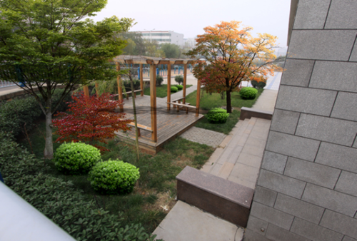 園冶杯專(zhuān)業(yè)獎(jiǎng)：山東藝術(shù)學(xué)校海綿城市改造設(shè)計(jì)