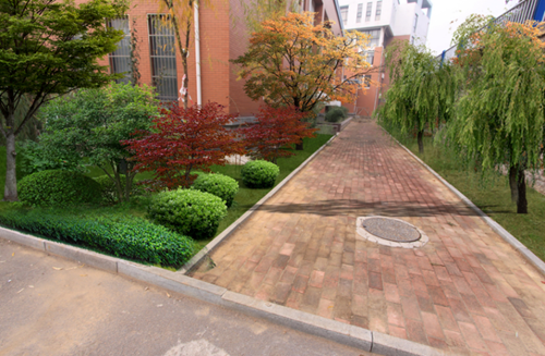 園冶杯專(zhuān)業(yè)獎(jiǎng)：山東藝術(shù)學(xué)校海綿城市改造設(shè)計(jì)